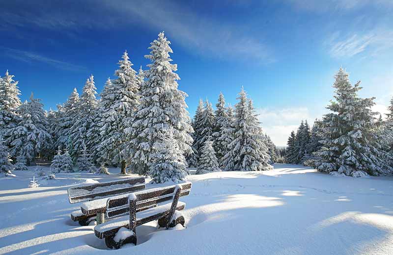 Slittino da neve in Val Gardena: piste, divertimento e paesaggi fiabeschi